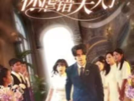 陸總住手吧，你虐錯(cuò)夫人了(全集)