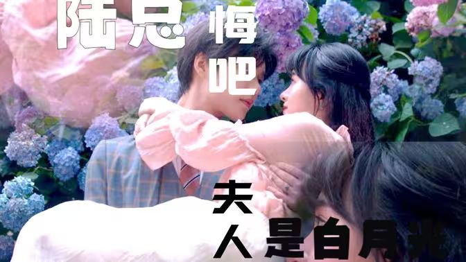 陸總懺悔吧，夫人才是白月光(全集)