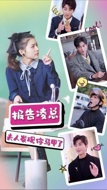 報(bào)告凌總，夫人發(fā)現(xiàn)你馬甲了(全集)