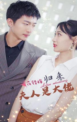 一夜錯嫁，歸來夫人是大佬(全集)