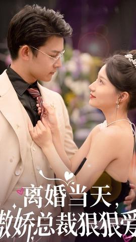 離婚當天，傲嬌總裁狠狠愛(全集)