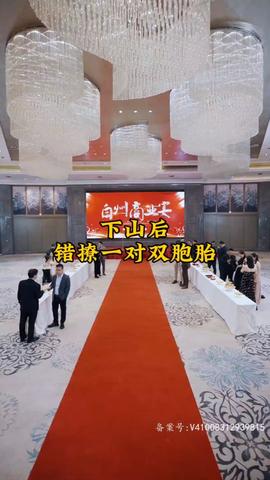 下山后，錯(cuò)撩一對(duì)雙胞胎(全集)