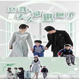 總裁，夫人帶崽跑了(全集)