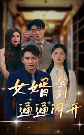 女婿駕到，通通閃開(全集)