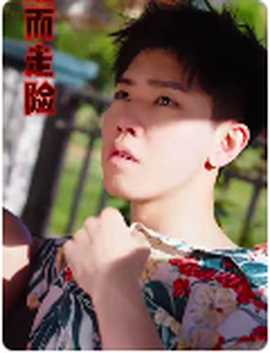 鋌而走險(xiǎn)$步步高升(全集)