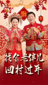 找個老伴兒回村過年(全集)