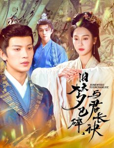 舊夢已碎，與君長訣＆終是深情錯付君(全集)