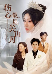 傷心最是關(guān)山月(全集)