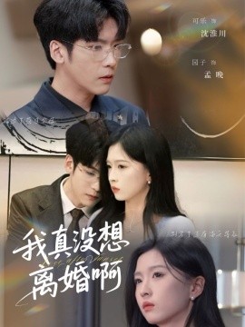 我真沒(méi)想離婚啊(全集)