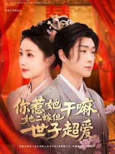 你惹她干嘛，她二嫁但世子超愛(全集)
