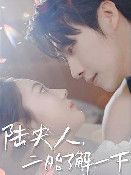 陸夫人，二胎了解一下(全集)