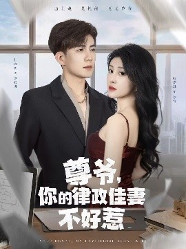 尊爺，你的律政嬌妻不好惹(全集)