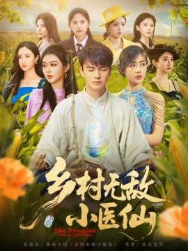 鄉(xiāng)村無(wú)敵小醫(yī)仙(全集)