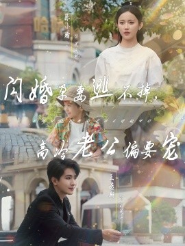 閃婚孕妻逃不掉，高冷老公偏要寵(全集)