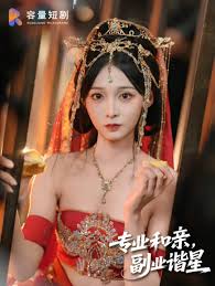 專業(yè)和親，副業(yè)諧星(全集)