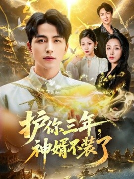 護(hù)你三年，神婿不裝了(全集)