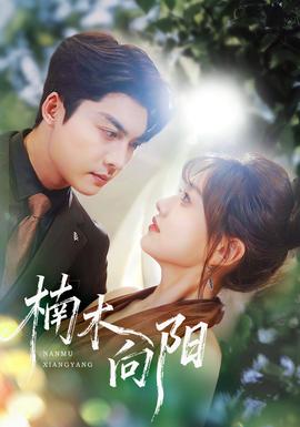 楠木向陽(yáng)(全集)