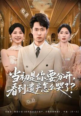 當(dāng)初是你要分開，看到遺產(chǎn)怎么哭了？(全集)