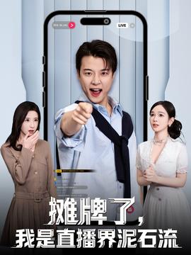 攤牌了，我是直播界泥石流(全集)