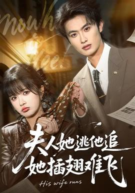 夫人她逃他追，她插翅難飛(全集)