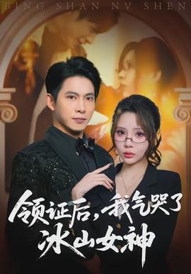 領(lǐng)證后，我氣哭了冰山女神(全集)