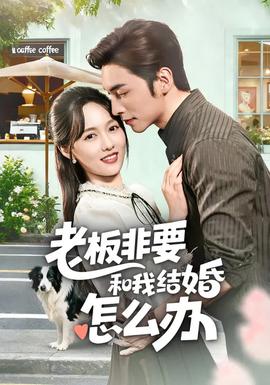 老板非要和我結婚怎么辦(全集)