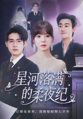 星河落滿(mǎn)的柔夜紀(jì)(全集)