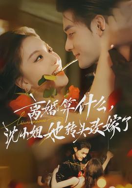 離婚算什么，沈小姐她轉(zhuǎn)頭改嫁了(全集)