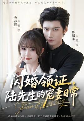 閃婚領證，陸先生的寵妻日常(全集)
